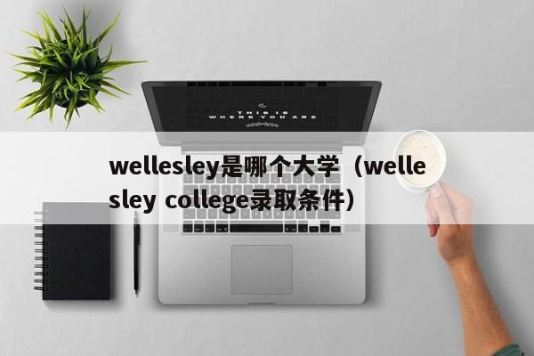 wellesley是哪个大学（wellesley llege录取条件）