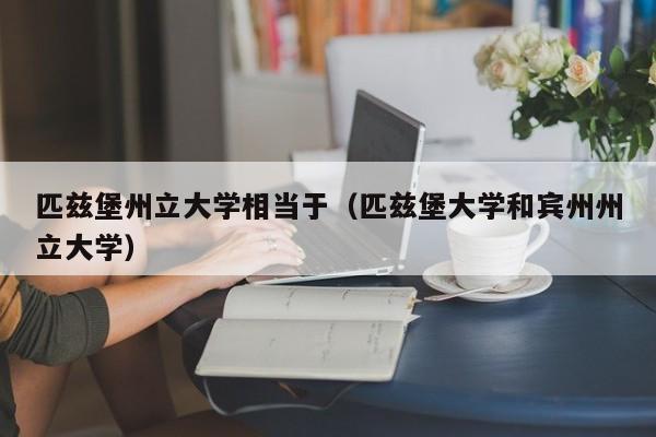 匹兹堡州立大学相当于（匹兹堡大学和宾州州立大学）