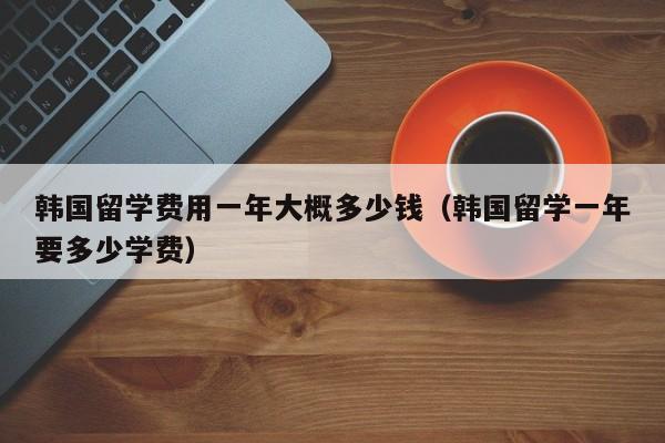 韩国留学费用一年大概多少钱（韩国留学一年要多少学费）  第1张