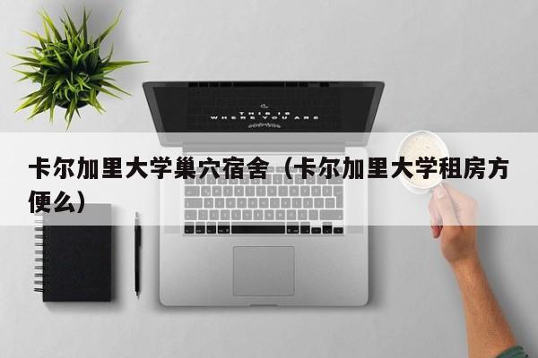 卡尔加里大学巢穴宿舍（卡尔加里大学租房方便么）