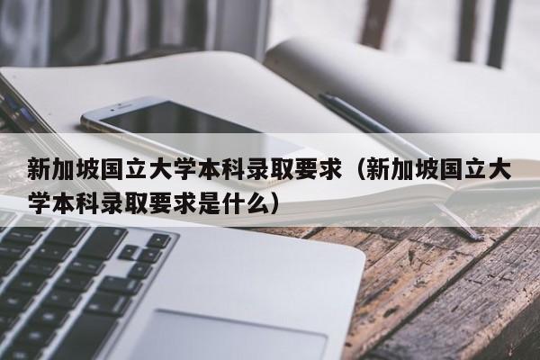 新加坡国立大学本科录取要求（新加坡国立大学本科录取要求是什么）  第1张