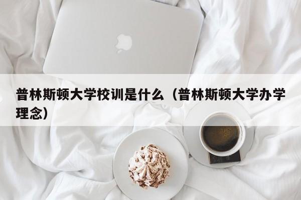 普林斯顿大学校训是什么（普林斯顿大学办学理念）