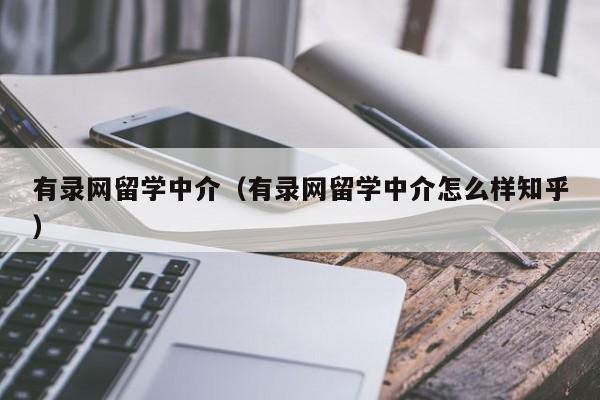 有录网留学中介（有录网留学中介怎么样知乎）  第1张