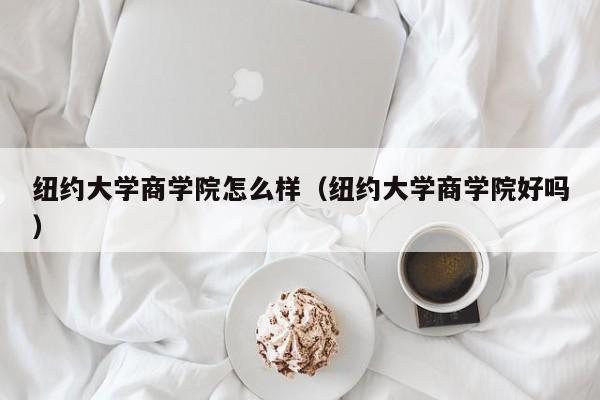 纽约大学商学院怎么样（纽约大学商学院好吗）