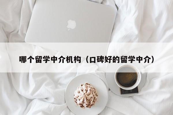 哪个留学中介机构（口碑好的留学中介）